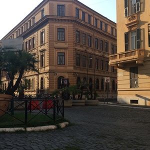 Meet your Posher, Elise